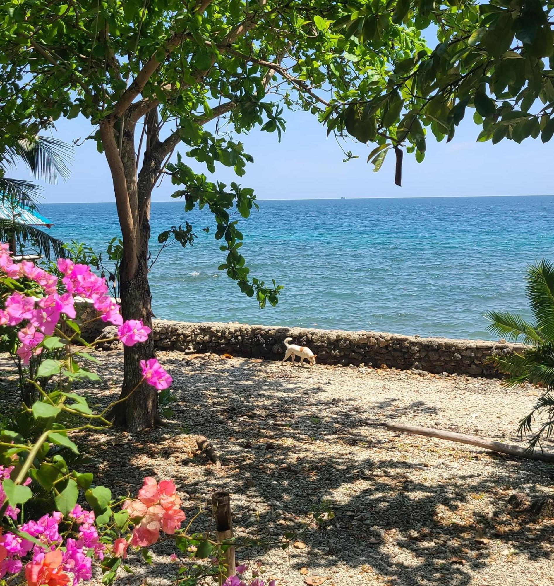 Paseo Del Mar Seaside Inn Jagna Dış mekan fotoğraf