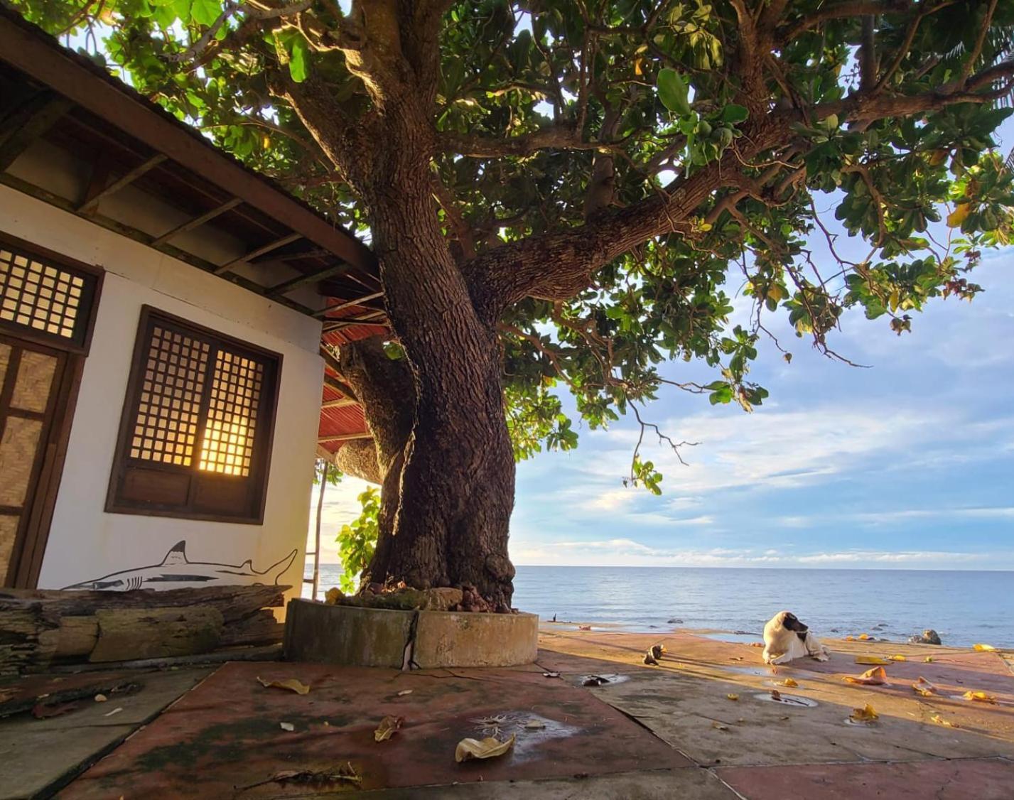 Paseo Del Mar Seaside Inn Jagna Dış mekan fotoğraf