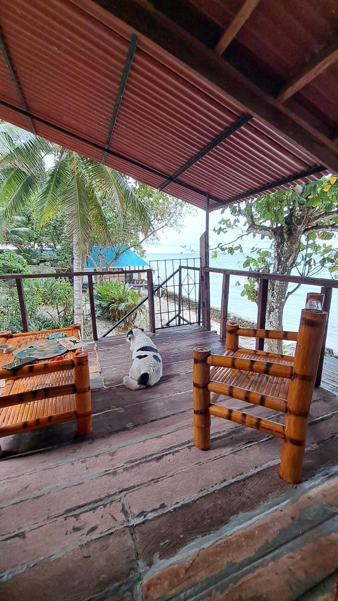 Paseo Del Mar Seaside Inn Jagna Dış mekan fotoğraf