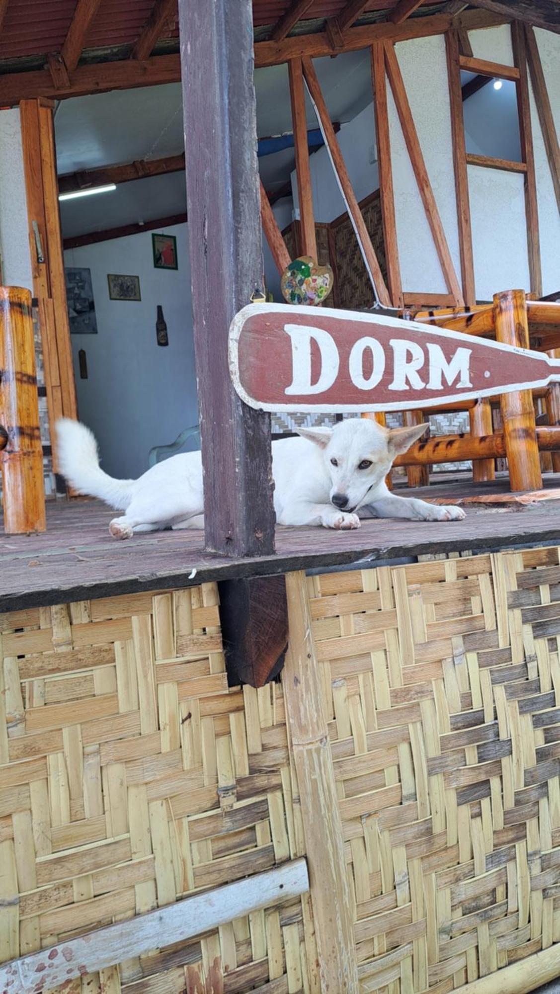 Paseo Del Mar Seaside Inn Jagna Dış mekan fotoğraf