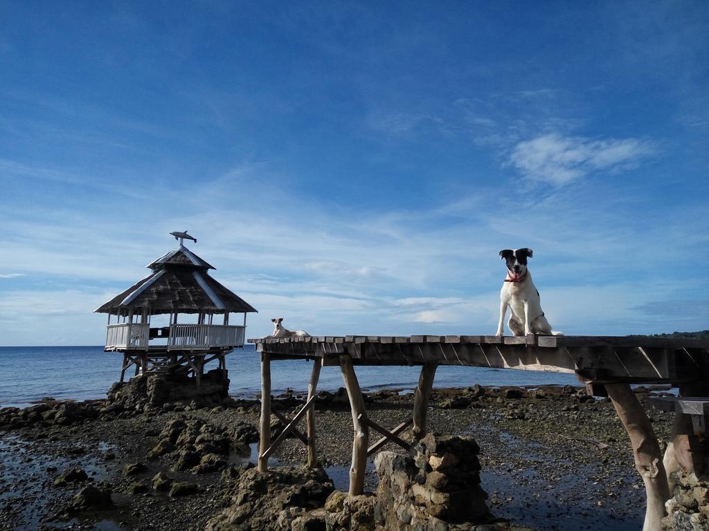 Paseo Del Mar Seaside Inn Jagna Dış mekan fotoğraf